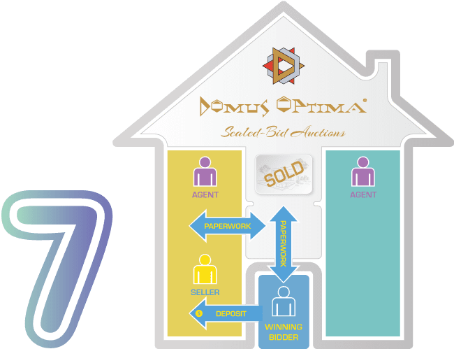 Domus Optima Sealed-Bid Real Estate Auction 7